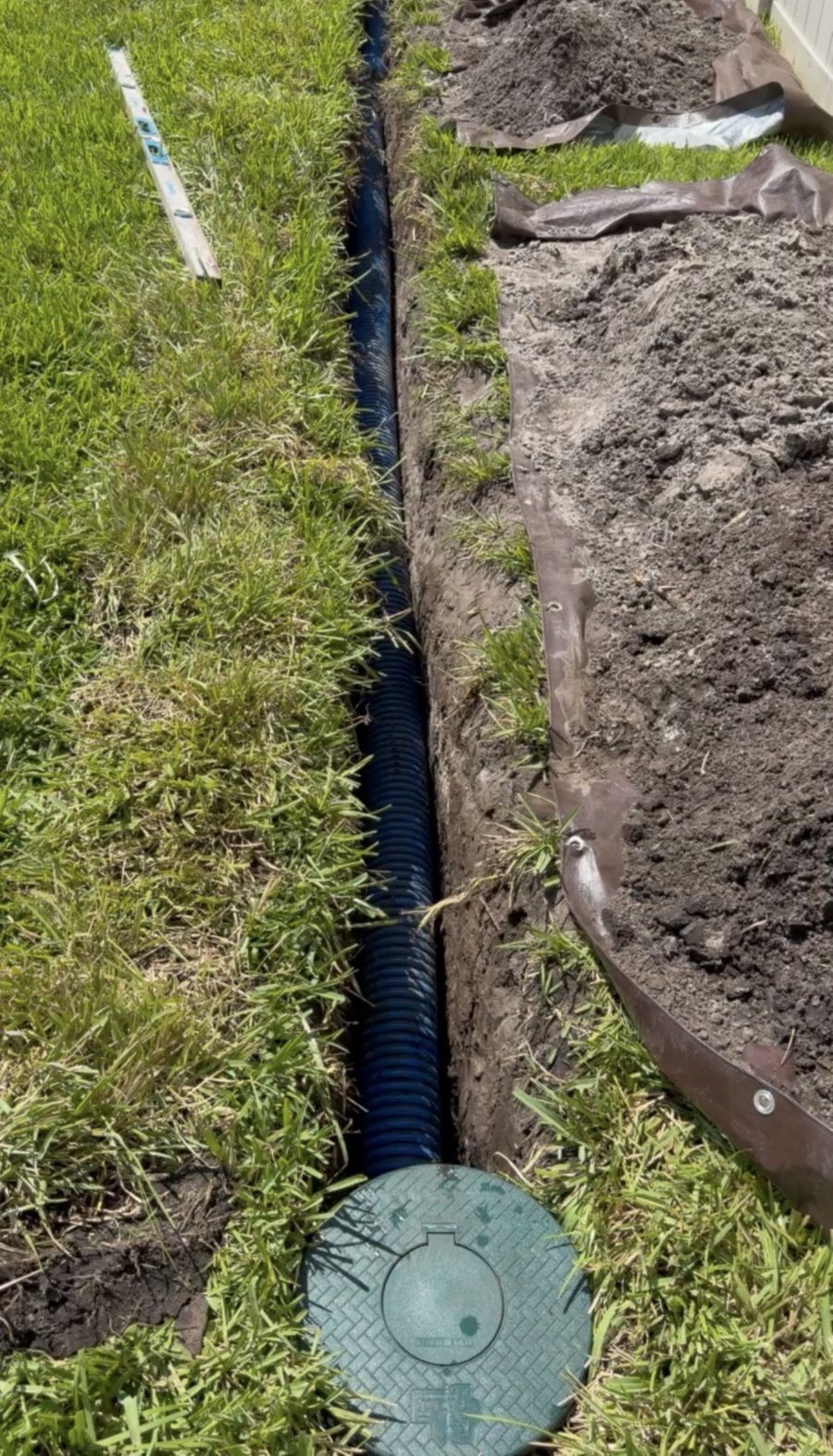 Buried downspout line in a narrow trench ending at a green pop-up emitter set flush with the lawn